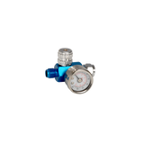 FMT 1/4" BSP Spray Gun Air Regulator